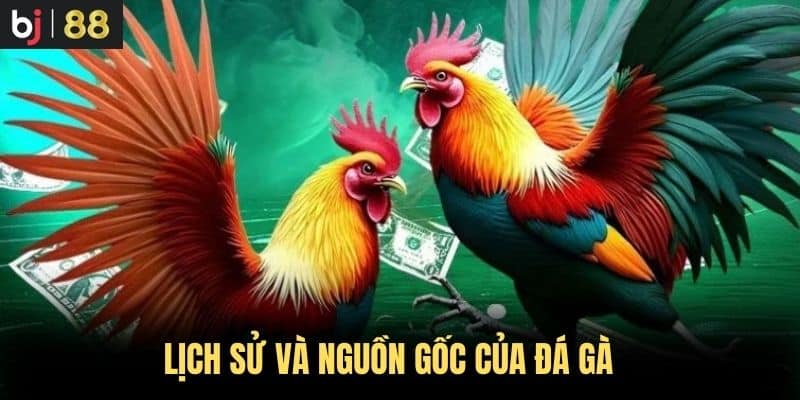 Lịch sử và nguồn gốc của đá gà