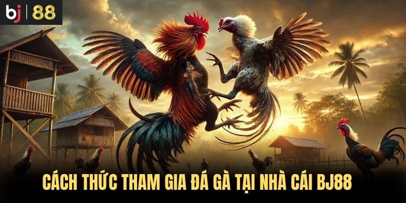 Cách thức tham gia đá gà tại nhà cái BJ88