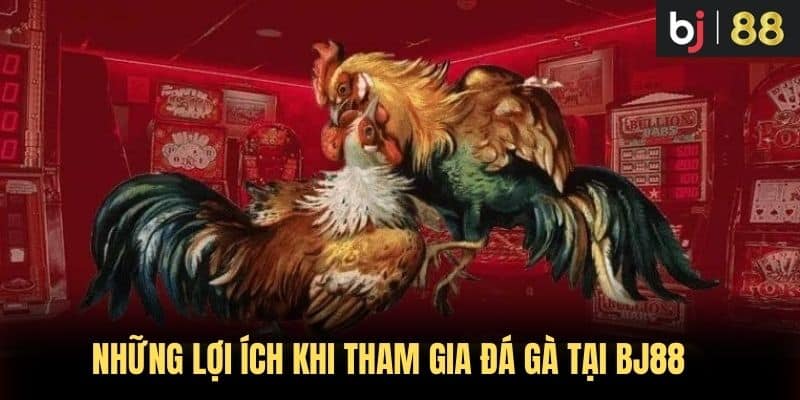 Những lợi ích khi tham gia đá gà tại BJ88