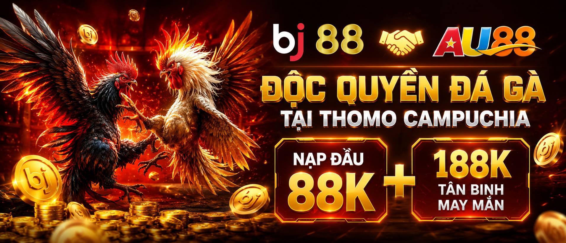 baner đá gà